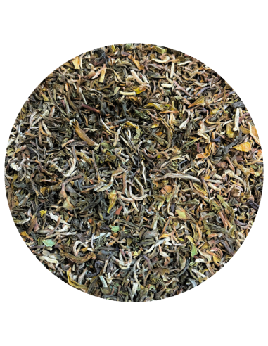 Darjeeling Singell bio SFTGFOP, 1ère récolte 2025 (50gr)