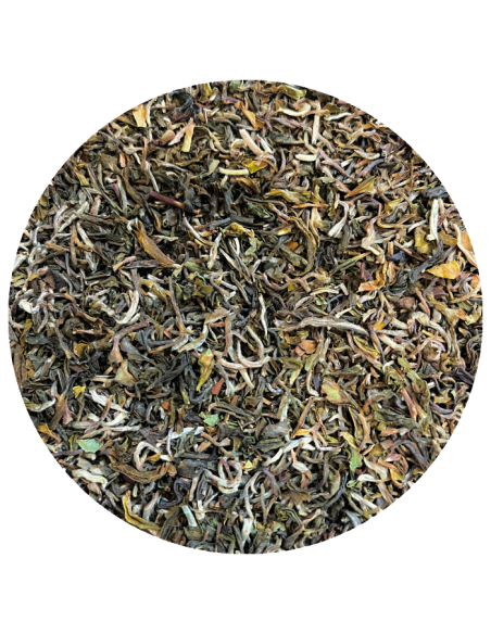 Darjeeling Singell bio SFTGFOP, 1ère récolte 2025 (50gr)